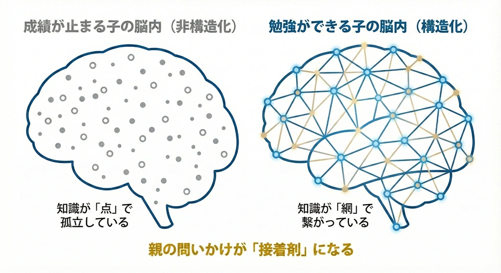 「知識の丸暗記（非構造化）」と「知識の構造化（スキーマ形成）」の比較図。孤立した知識の点は応用が効かないが、親の問いかけによって知識がネットワーク状に繋がることで、成績上位者の思考回路が形成される論理的関係を示している。